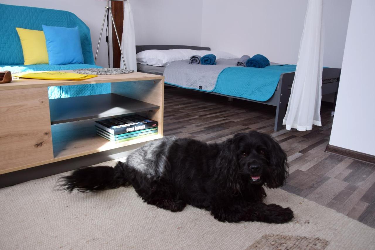 Apartament Gornicza W Kowarach Kowary Buitenkant foto