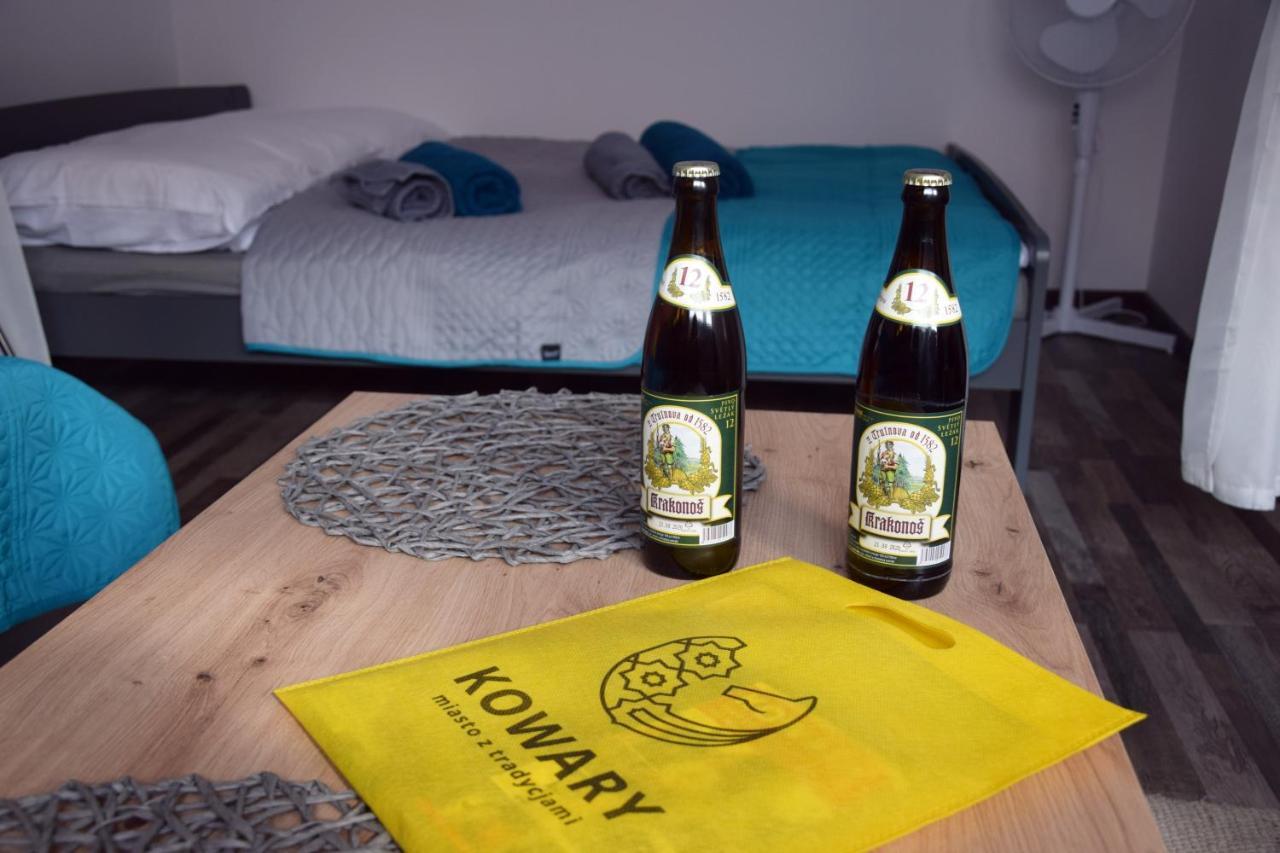 Apartament Gornicza W Kowarach Kowary Buitenkant foto